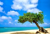 世界保龄球高校公开赛：大学队伍展现竞技与校园文化结合，世界十瓶保龄球大师赛